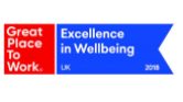 Excellence in well being